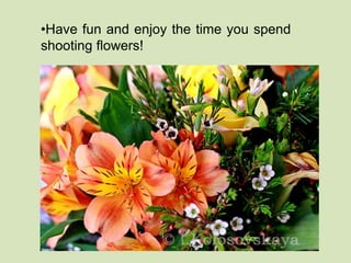 •Have fun and enjoy the time you spend 
shooting flowers! 
 