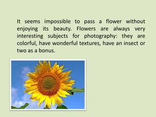 It seems impossible to pass a flower without 
enjoying its beauty. Flowers are always very 
interesting subjects for photography: they are 
colorful, have wonderful textures, have an insect or 
two as a bonus. 
 