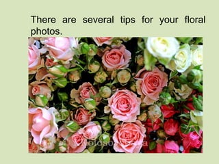 There are several tips for your floral 
photos. 
 