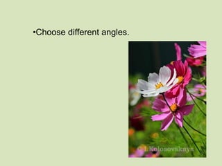 •Choose different angles. 
 