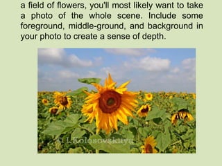 a field of flowers, you'll most likely want to take 
a photo of the whole scene. Include some 
foreground, middle-ground, and background in 
your photo to create a sense of depth. 
 