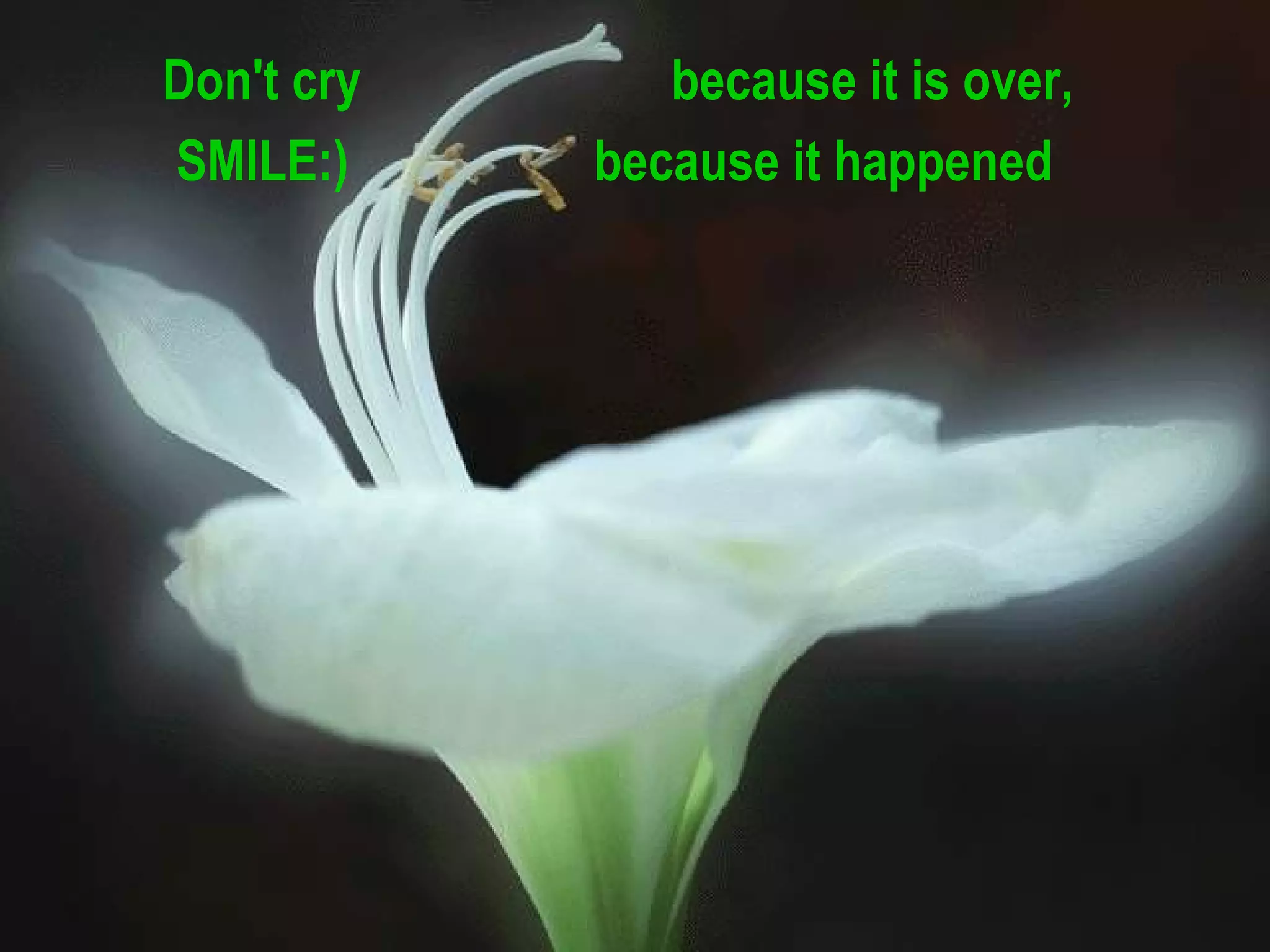 Don't cry  because it is over,  SMILE:)  because it happened   