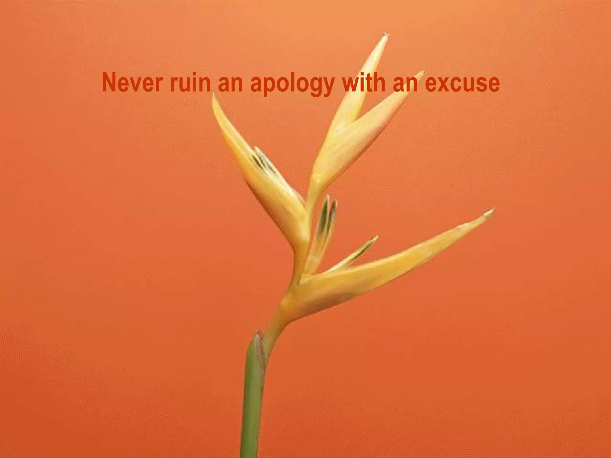 Never ruin an apology with an excuse   