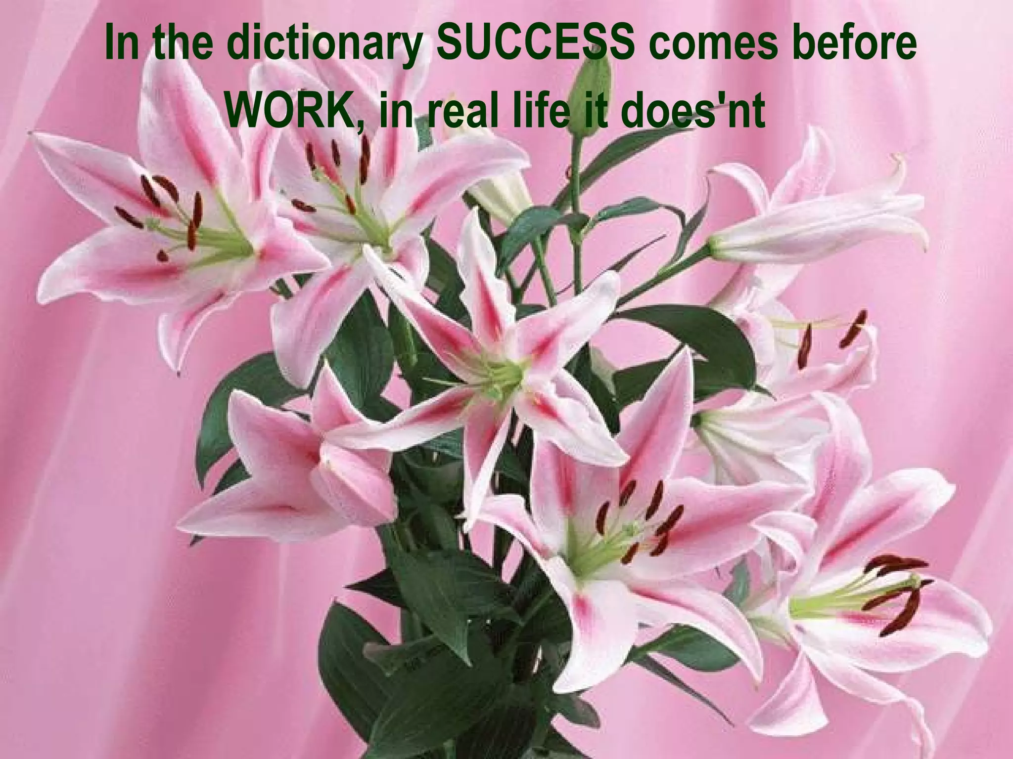 In the dictionary SUCCESS comes before WORK, in real life it does'nt   