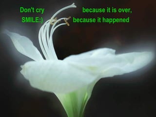 Don't cry  because it is over,  SMILE:)  because it happened   