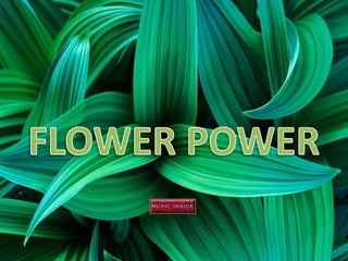 FLOWER POWER 
