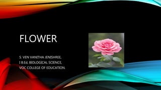 FLOWER
S. VEN VANITHA JENISHREE,
I B.Ed, BIOLOGICAL SCIENCE,
VOC COLLEGE OF EDUCATION.
 