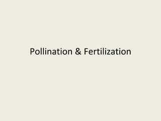 Pollination & Fertilization 