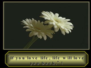 "If you love life, life will love you back."   ! 
