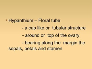 

Hypanthium – Floral tube
- a cup like or tubular structure
- around or top of the ovary
- bearing along the margin the
sepals, petals and stamen

 