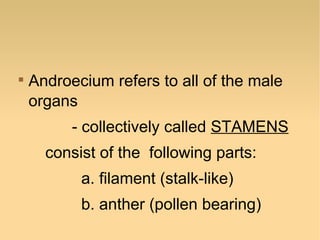

Androecium refers to all of the male
organs
- collectively called STAMENS
consist of the following parts:
a. filament (stalk-like)
b. anther (pollen bearing)

 