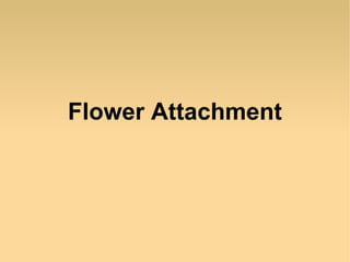Flower Attachment

 
