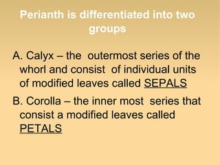 Perianth is differentiated into two
groups
A. Calyx – the outermost series of the
whorl and consist of individual units
of modified leaves called SEPALS
B. Corolla – the inner most series that
consist a modified leaves called
PETALS

 