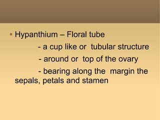 Hypanthium Inner Rim Flowers | PPT