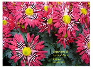 Diaporama de Marie-Odile et Francis novembre 2008