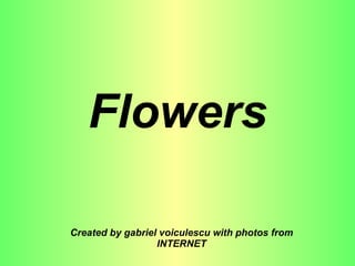 Flowers Created by gabriel voiculescu with photos from INTERNET 