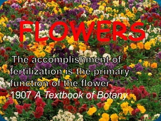 Flowers “The accomplishment of fertilization is the primary function of the flower” 1907 A Textbook of Botany 
