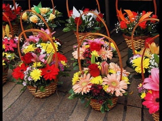 Flowers