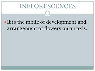 INFLORESCENCES

 It is the mode of development and
 arrangement of flowers on an axis.
 