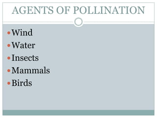 AGENTS OF POLLINATION

 Wind
 Water
 Insects
 Mammals
 Birds
 