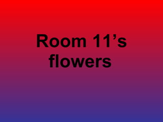 Room 11’s flowers   