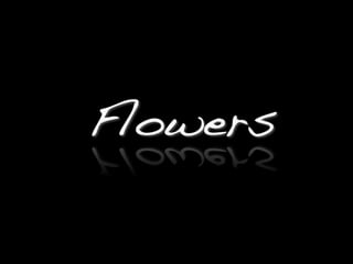 Luigi Bisignani’s “Flowers” 