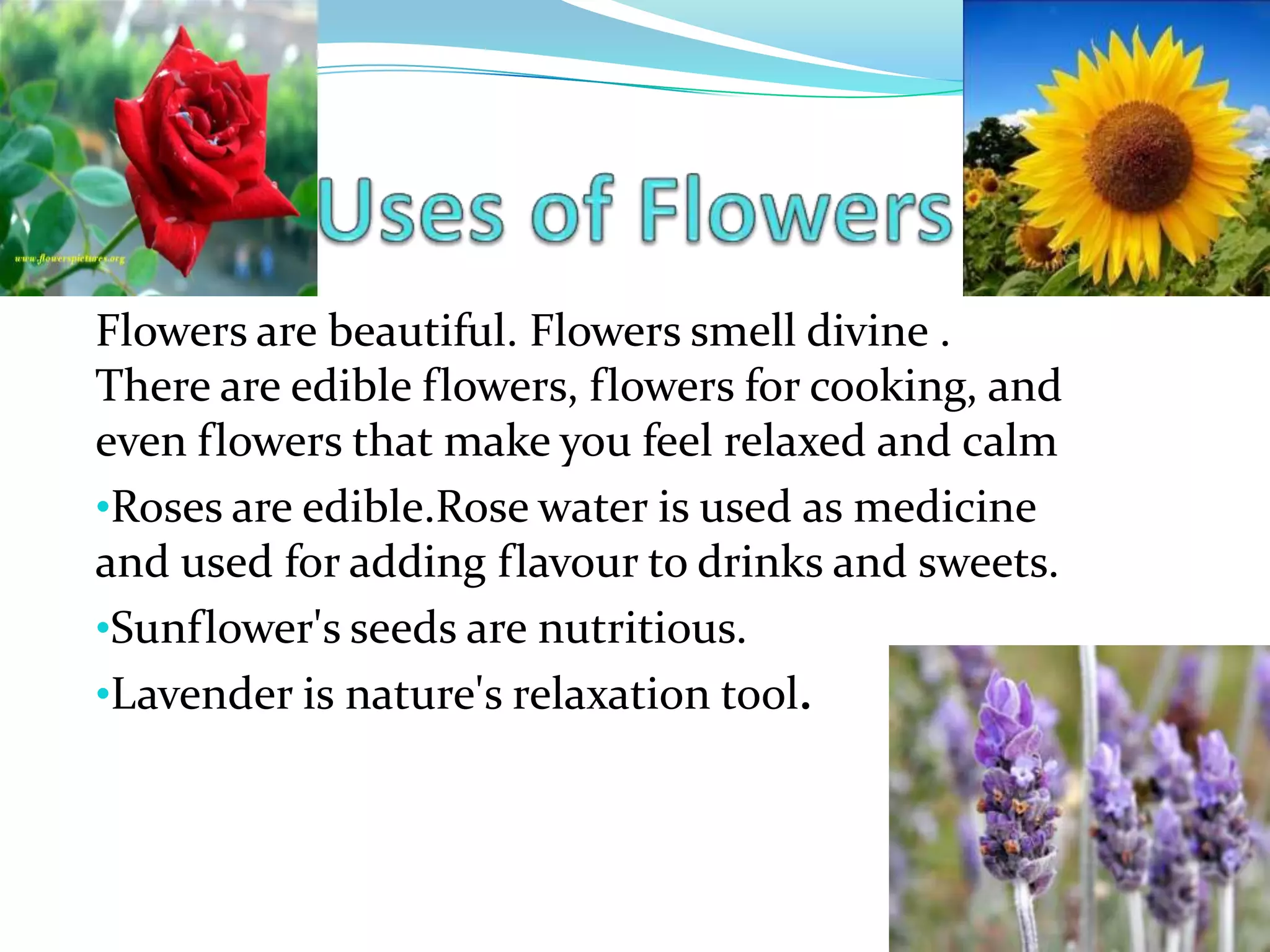 Flowers PPT by Aditya Sharma | PPTX