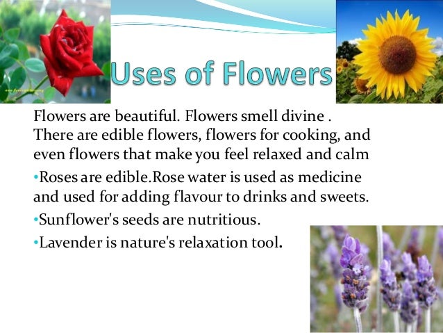 Flowers PPT by Aditya Sharma