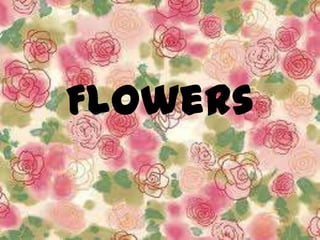 Flowers
 