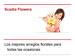 Scadia Flowers
Los mejores arreglos florales para
todas las ocasiones
 