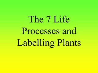 The 7 Life
Processes and
Labelling Plants
 