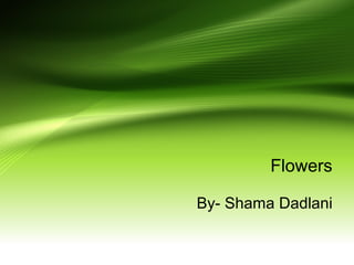 Flowers
By- Shama Dadlani
 