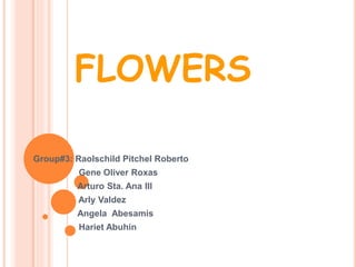 FLOWERS
Group#3: Raolschild Pitchel Roberto
Gene Oliver Roxas
Arturo Sta. Ana III
Arly Valdez
Angela Abesamis
Hariet Abuhin
 