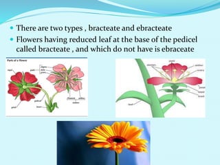Flowers | PPT