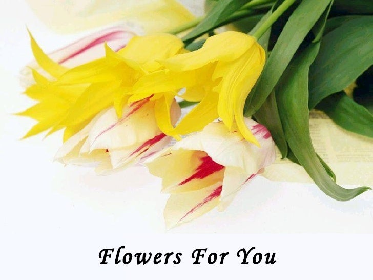 flowers for you youtube