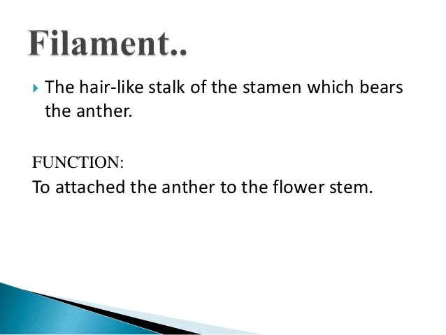 Flowers: Parts and Functions