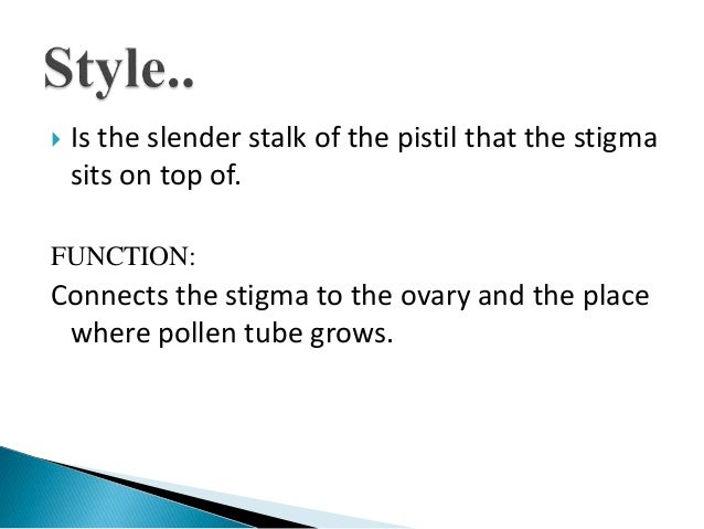 Flowers: Parts and Functions