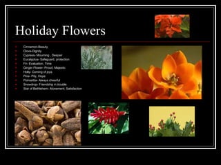 Flowers And Their Hidden Meanings Ppt Flowers And Their Hidden Meanings Ppt