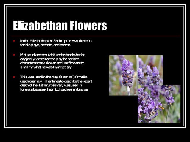 Flowers And Their Hidden Meanings Ppt Flowers And Their Hidden Meanings Ppt