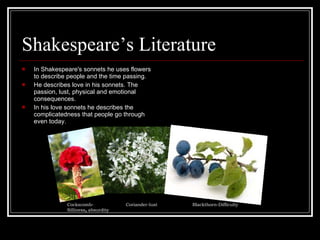 Shakespeare’s Literature In Shakespeare's sonnets he uses flowers to describe people and the time passing. He describes love in his sonnets. The passion, lust, physical and emotional consequences. In his love sonnets he describes the complicatedness that people go through even today.  Cockscomb- Silliness ,  absurdity Coriander-lust Blackthorn-Difficulty 