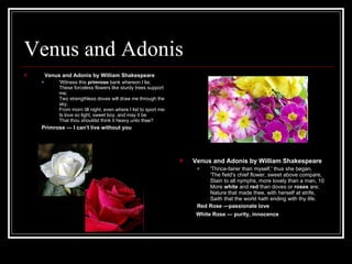 Venus and Adonis Venus and Adonis by William Shakespeare 'Witness this  primrose  bank whereon I lie; These forceless flowers like sturdy trees support me; Two strengthless doves will draw me through the sky, From morn till night, even where I list to sport me: Is love so light, sweet boy, and may it be That thou shouldst think it heavy unto thee? Primrose  — I can’t live without you Venus and Adonis by William Shakespeare 'Thrice-fairer than myself,' thus she began, 'The field's chief flower, sweet above compare, Stain to all nymphs, more lovely than a man, 10 More  white  and  red  than doves or  roses  are; Nature that made thee, with herself at strife, Saith that the world hath ending with thy life. Red Rose —passionate love   White Rose — purity, innocence 