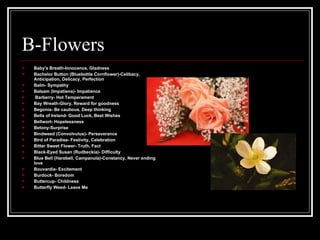 Flowers And Their Hidden Meanings Ppt Flowers And Their Hidden Meanings Ppt