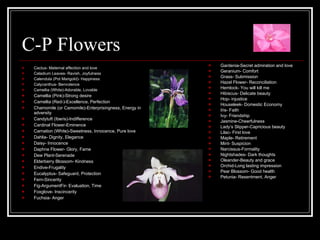 C-P Flowers Cactus- Maternal affection and love Caladium Leaves- Ravish, Joyfulness Calendula (Pot Marigold)- Happiness Calycanthus- Benvolence Camellia (White)-Adorable, Lovable Camellia (Pink)-Strong desire Camellia (Red-)-Excellence, Perfection Chamomile  (or Camomile)-Enterprisingness, Energy in adversity Candytuft (Iberis)-Indifference Cardinal Flower-Eminence Carnation (White)-Sweetness, Innocence, Pure love Dahlia- Dignity, Elegance Daisy- Innocence Daphne Flower- Glory, Fame Dew Plant-Serenade Elderberry Blossom- Kindness Endive-Frugality Eucalyptus- Safeguard, Protection Fern-Sincerity Fig-ArgumentFir- Evaluation, Time Foxglove- Inscincerity Fuchsia- Anger Gardenia-Secret admiration and love Geranium- Comfort Grass- Submission Hazel Flower- Reconciliation Hemlock- You will kill me Hibiscus- Delicate beauty Hop- injustice Houseleek- Domestic Economy Iris- Faith Ivy- Friendship Jasmine-Cheerfulness Lady’s Slipper-Capricious beauty Lilac- First love Maple- Retirement Mint- Suspicion Narcissus-Formality Nightshades- Dark thoughts Oleander-Beauty and grace Orchid-Long lasting impression Pear Blossom- Good health Petunia- Resentment, Anger 