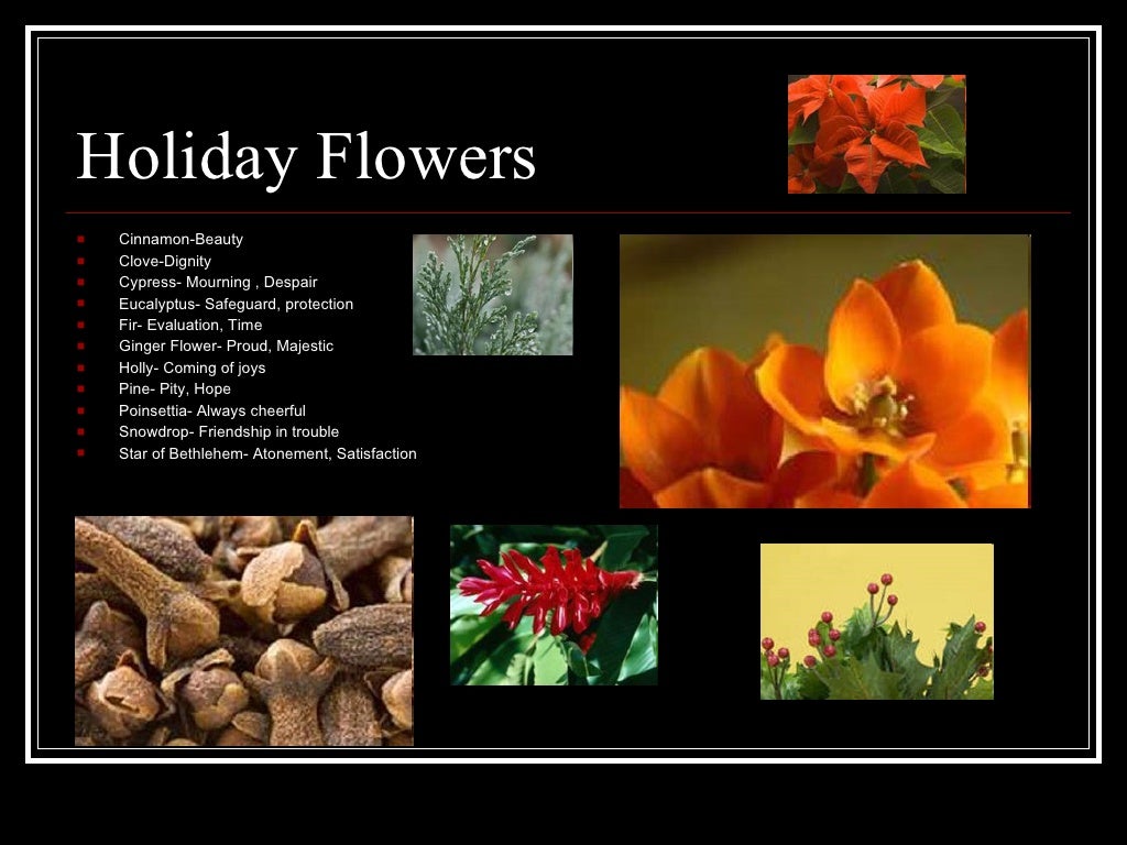 Flowers And Their Hidden Meanings Flowers And Their Hidden Meanings
