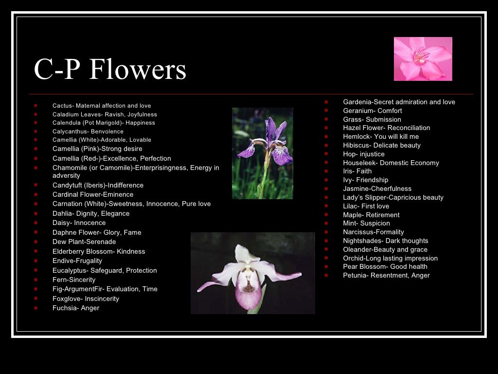 Flowers And Their Hidden Meanings Flowers And Their Hidden Meanings