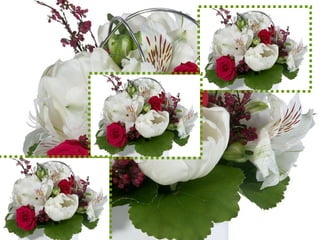Flowers and waltz vienna (1)