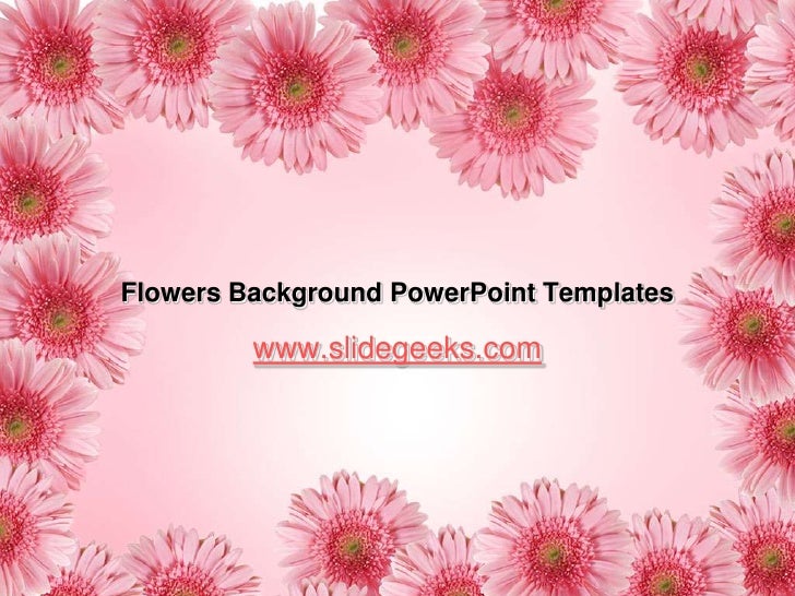 Download 41 Background Power Point Flower Terbaik