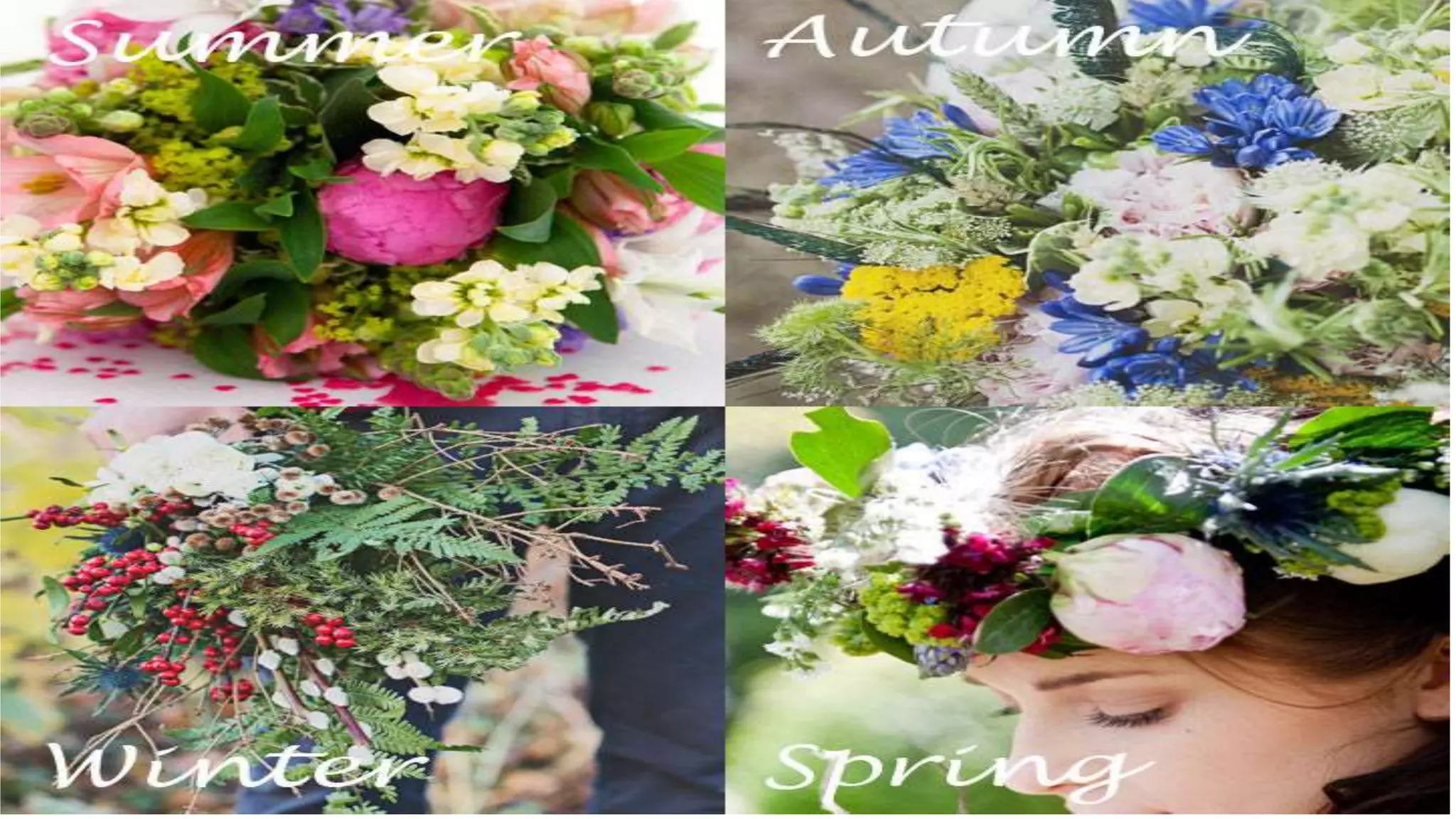 Different Flowers by season | PPT