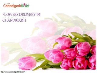 FLOWERS DELIVERY IN
CHANDIGARH
 