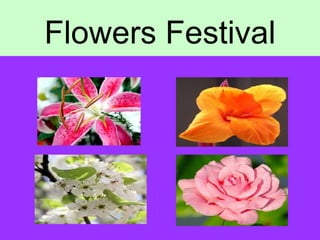 Flowers Festival 
